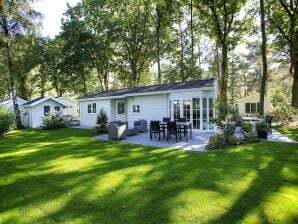 Leuk chalet met afwasmachine op vakantiepark - Hoenderloo - image1