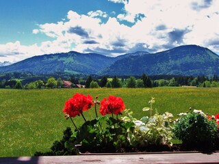 Blick auf die Berge