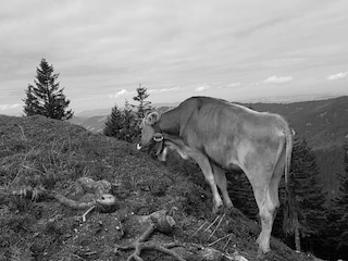 Apartment Immenstadt Umgebung 25