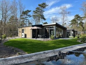 Modernes Ferienhaus in einem Ferienpark, an den Nationalpark Hoge Veluwe - Arnhem - image1