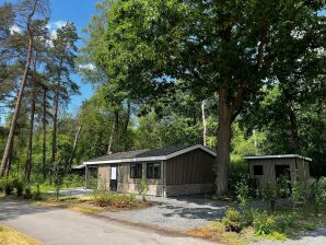 Modern chalet in a holiday park, bordering the Hoge Veluwe National Park - Arnhem - image1