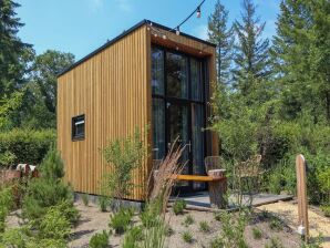 Holiday park Tiny house with pellet stove, near the Ijssel - Olburgen - image1