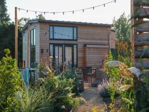 Nice tiny house with pellet stove in holiday park - Olburgen - image1