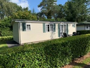 Holiday park Comfortable chalet in the green Achterhoek - Lochem - image1