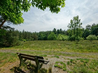 Parque de vacaciones Lochem Entorno 17