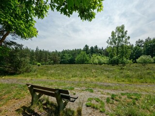 Parque de vacaciones Lochem Entorno 20