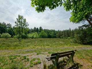 Parque de vacaciones Lochem Entorno 22