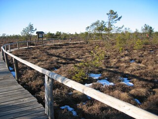 Rundwanderweg Schwarzes Moor