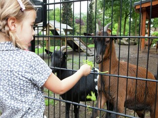Parque de vacaciones Lochem  26