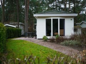 Ferienpark Schönes Chalet im Nationalpark Hoge Veluwe - Beekbergen - image1