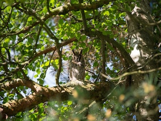 Parc de vacances Ruinen  17