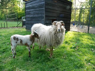 Ferienpark Ruinen  15