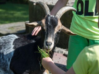Holiday park Ruinen  24