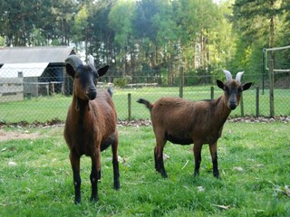 Ferienpark Ruinen  35