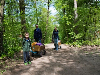 Parc de vacances Ruinen  23