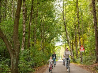 Ferienpark Ruinen  22