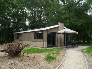 Vakantiepark Modern chalet met afwasmachine, van Hoogeveen - ruïnes - image1