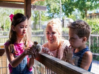 Vakantiepark Doornspijk  39