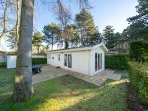 Vakantiepark Fijn chalet met afwasmachine, nabij het strand - Doornspijk - image1