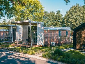 Holiday park Nice chalet with airco near Efteling - Udenhout - image1