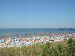 Ferienpark Dźwirzyno Umgebung 30
