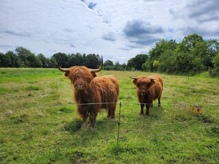 Appartamento per vacanze Aurich Ambiente 34