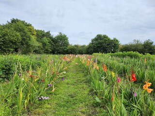 Appartamento per vacanze Aurich Registrazione all'aperto 3