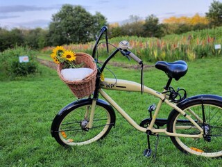 Vakantieappartement Aurich Omgeving 33