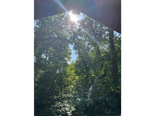 Blick aus dem "Waldschlafzimmer"