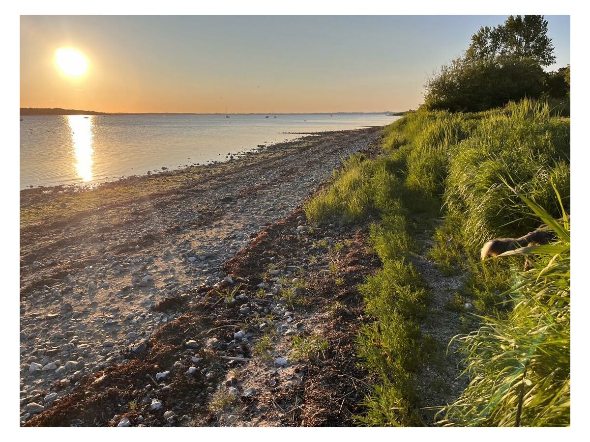 Roskilde Fjord