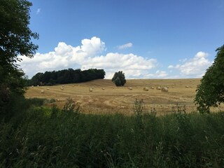 Ernte gleich nebenan