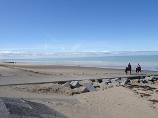 Vakantiehuis Rauville-la-Place Omgeving 20