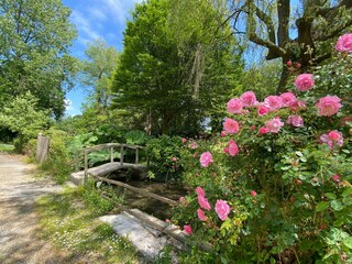 Ferienhaus Rauville-la-Place Außenaufnahme 5
