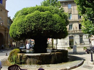 Ferienhaus Salon-de-Provence Außenaufnahme 4