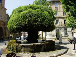 Ferienhaus Salon-de-Provence Außenaufnahme 6