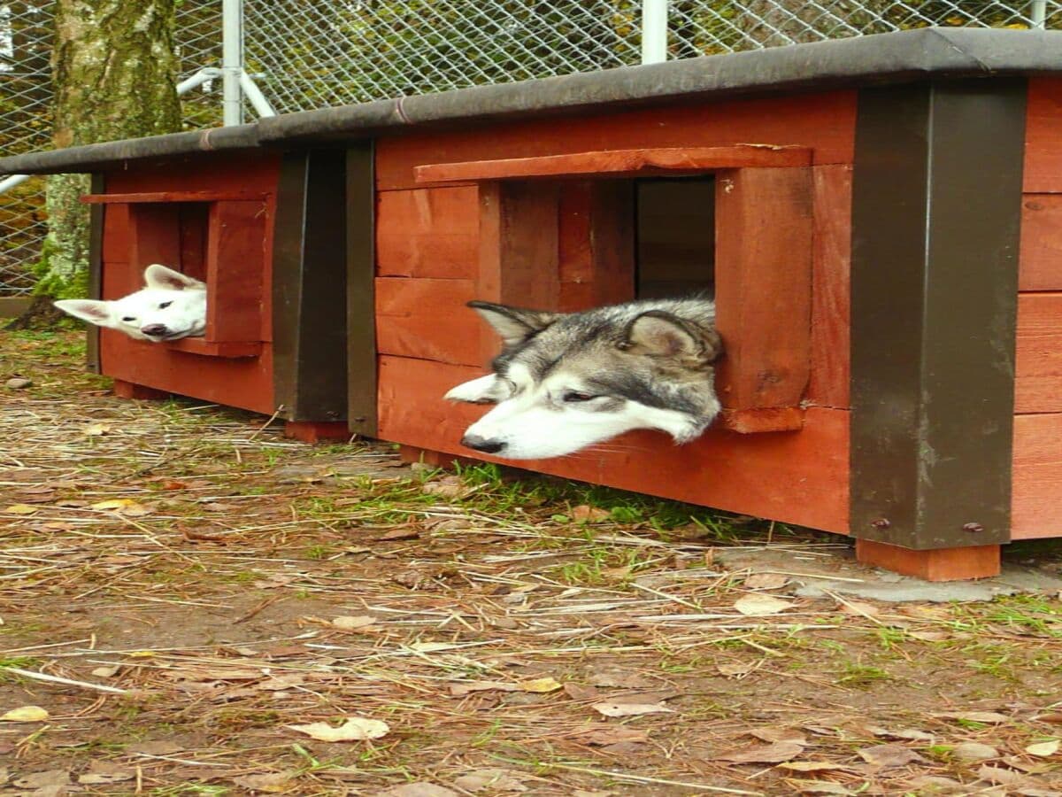 Ferienpark Grzybowo Außenaufnahme 6