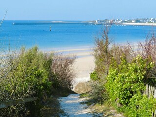 Maison de vacances Plouhinec Environnement 17