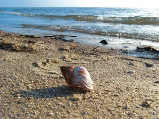 Bungaló Twietfort Entorno 11