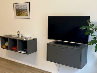 Wohnzimmer/Fernsehzimmer