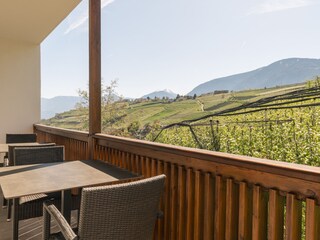 Appartamento per vacanze Dorf Tirol Caratteristiche 17