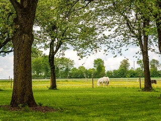 1920__output_Buero_140523_Orsfeld_Ferienwohnung_A7