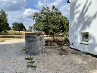 IMG_3671