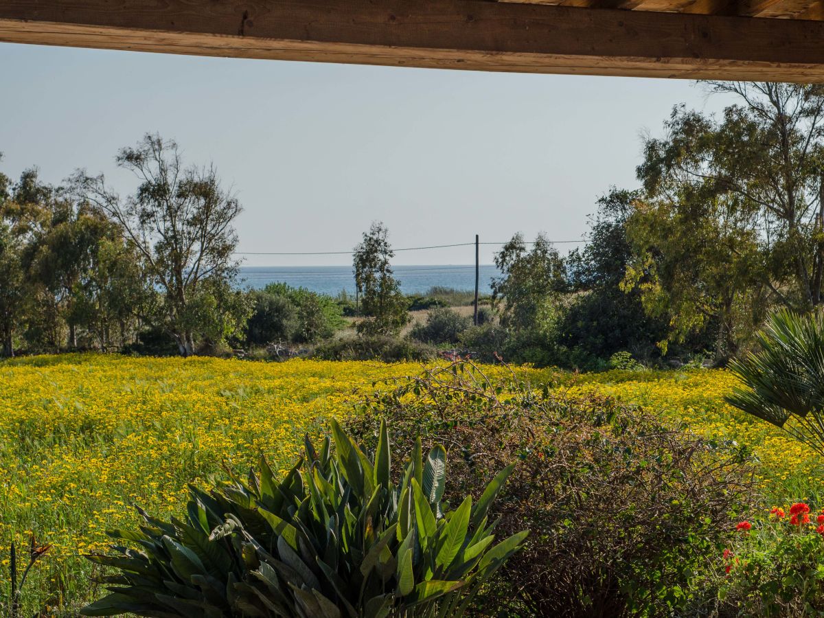 Aussicht Terrasse