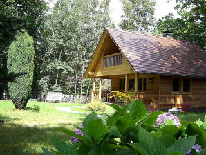 Ferienhaus Willkommen in der Hauserhütte - Olbersdorf - image1