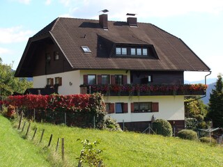 Holiday apartment Millstatt Outdoor Recording 7