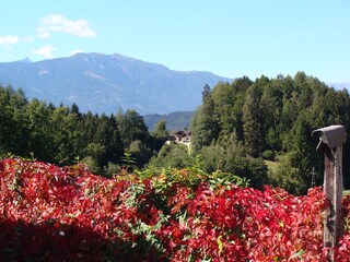 Holiday apartment Millstatt Outdoor Recording 10