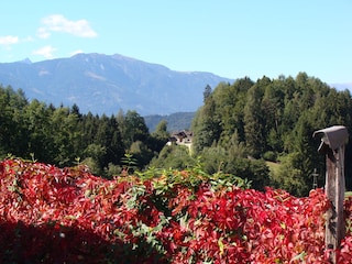 Vakantieappartement Millstatt Omgeving 8