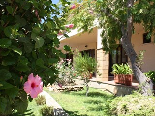 Vakantiepark Selinunte Buitenaudio-opname 4