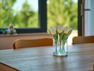 Apartment Černý Důl Ausstattung 18