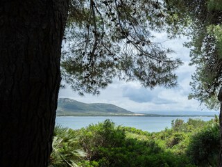 Villa Alghero Buitenaudio-opname 2
